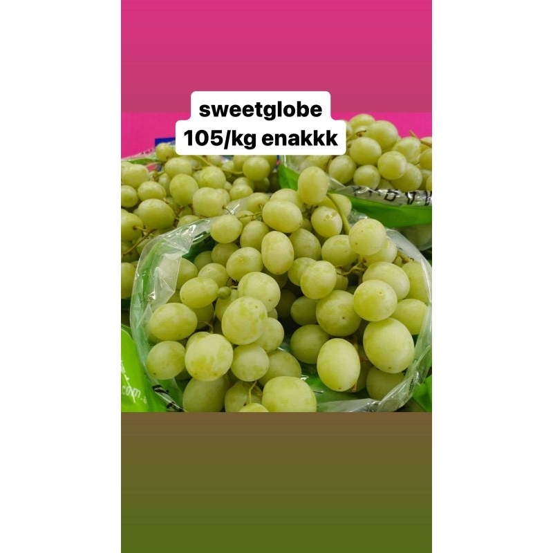 

anggur sweetglobe