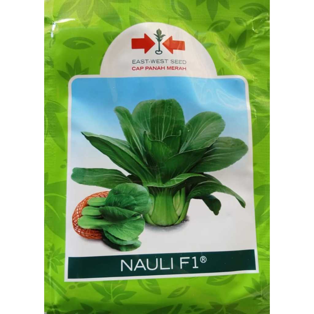 Benih Pakcoy Nauli F1