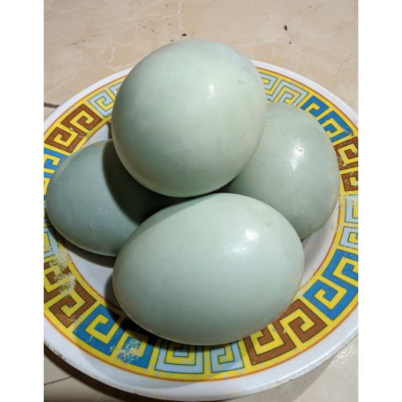 

Telor