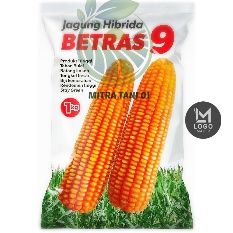 Benih Jagung betras 9