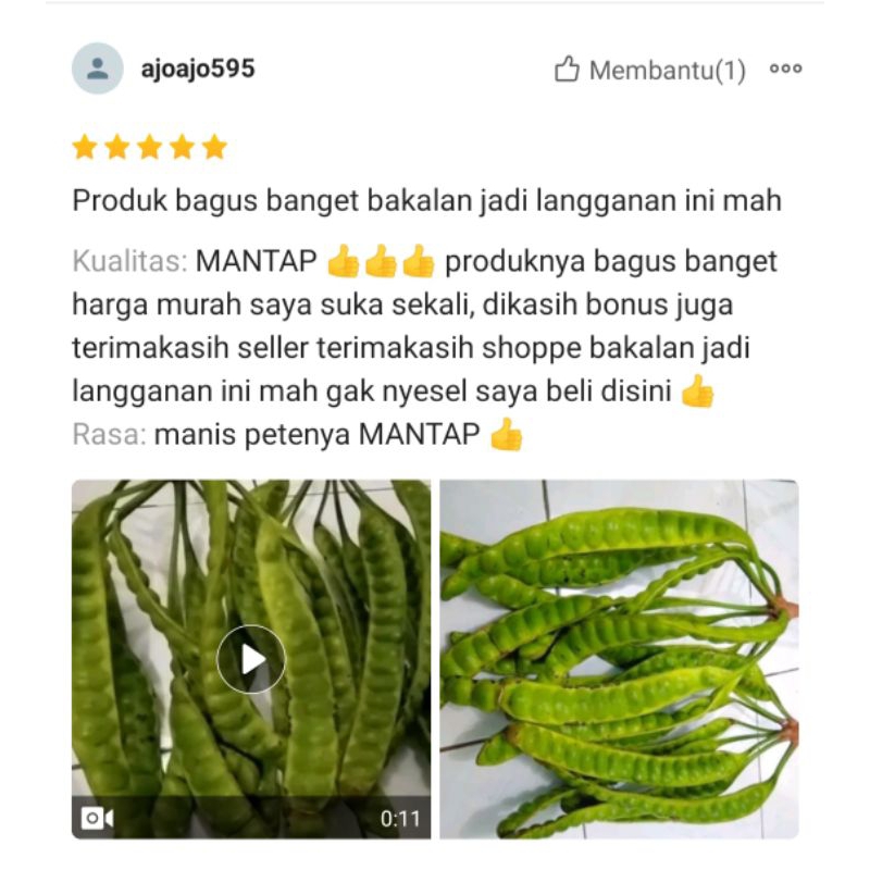 

Ssl09 pete petai tua isi 15 papan