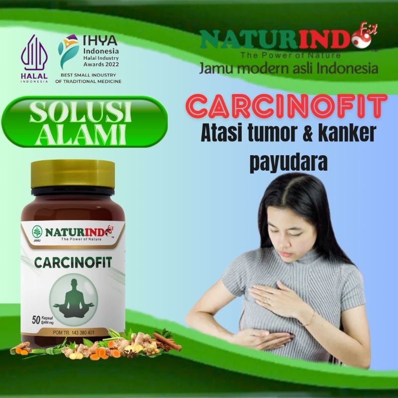 obat benjolan payudara tumor payudara kanker payudara pria dan wanita carcinofit naturindo