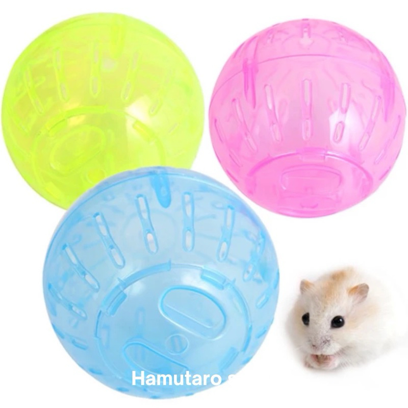 Bola Hamster Mainan Hamster ball jogging ball hamster