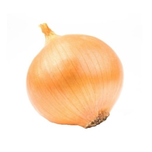 

BAWANG BOMBAY ONION 250 gr PREMIUM FRESH