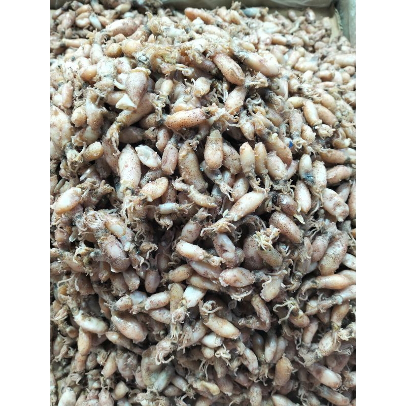 

cumi baby tanjung balai 250 gr