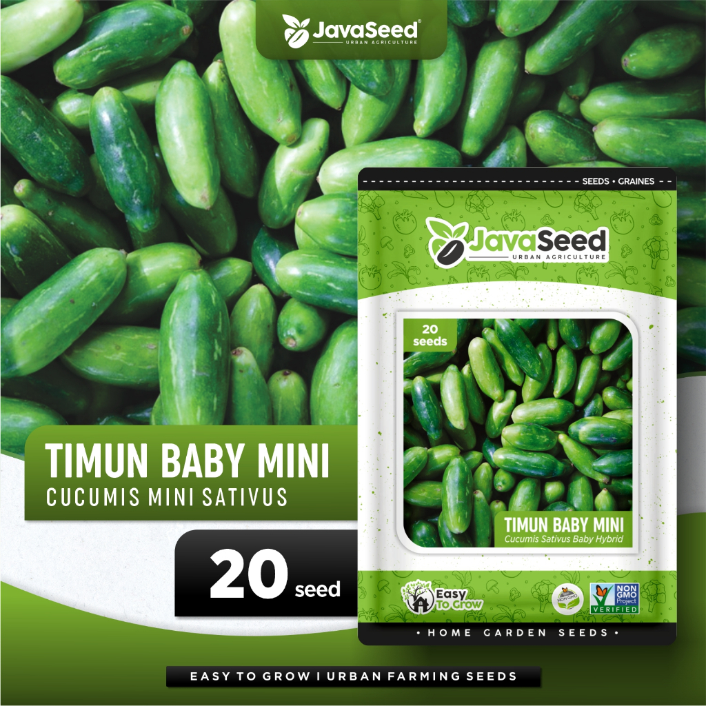 JAVASEED - Benih Mentimun Lalap Timun Baby Mini Vanesa 20 Benih