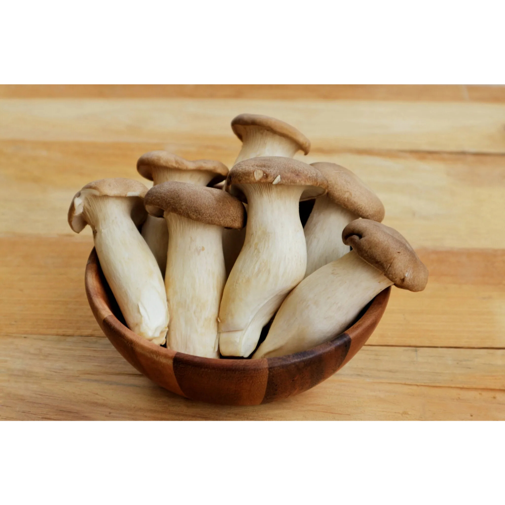 

Jamur Segar Mini King Oyster Mushrooms 1 pcs