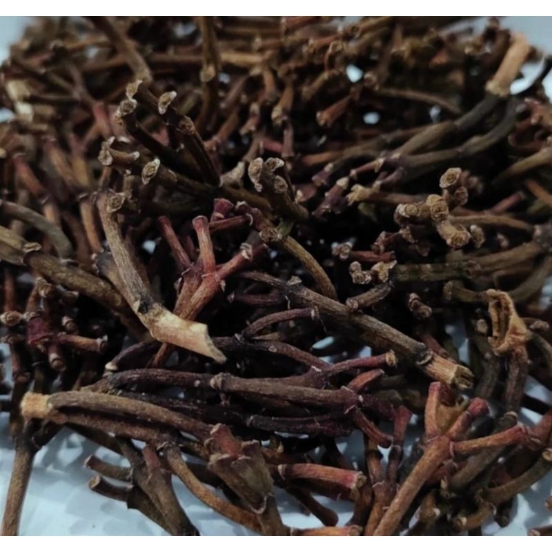 

gagang cengkeh premium super kering 500gr terbaik