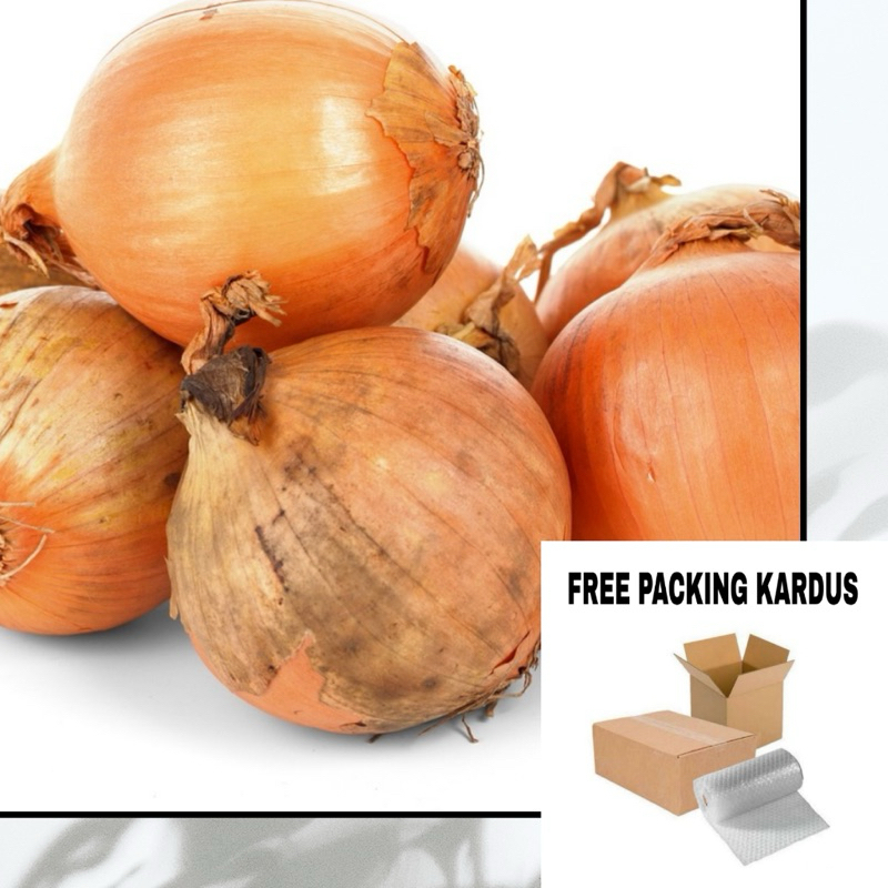 

Bawang Bombay Onion Fresh 1Kg / Bawang Bombay Murah Berkualitas Premium