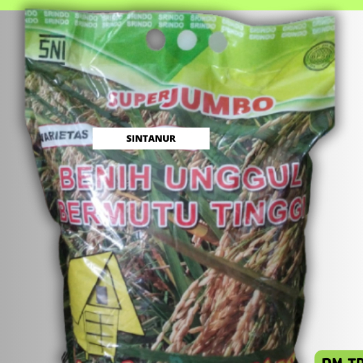 Benih Bibit Padi Varietas Sintanur Original srindo 10 KG