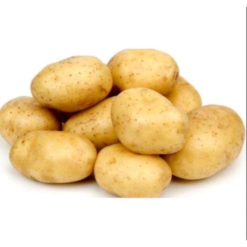 

kentang ukuran besar 1 kg