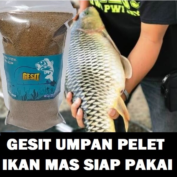 GESIT UMPAN PELET IKAN MAS AMIS WANGI SIAP PAKAI