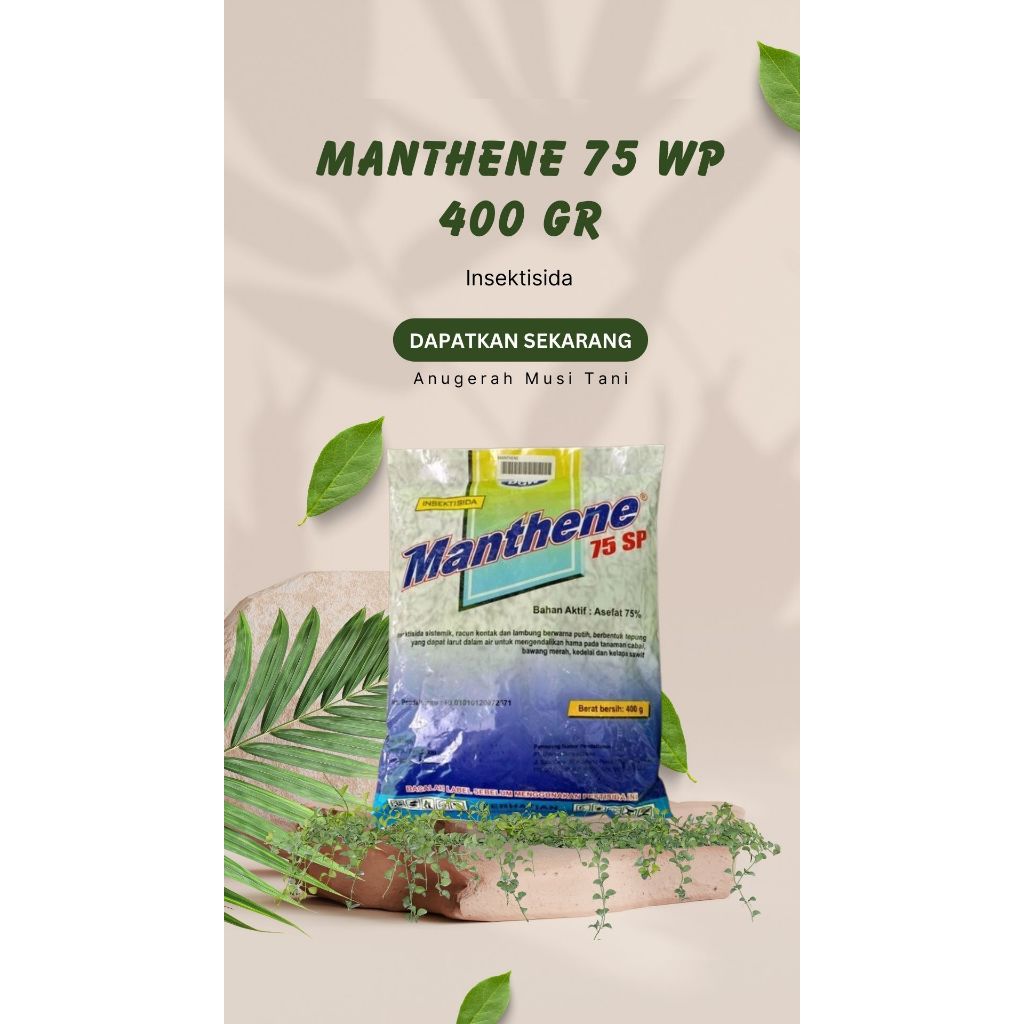 Manthene 75 SP (400 gr)