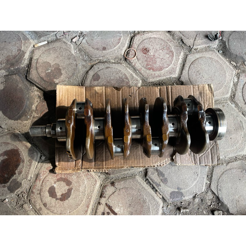 Kruk as ferio genio D16