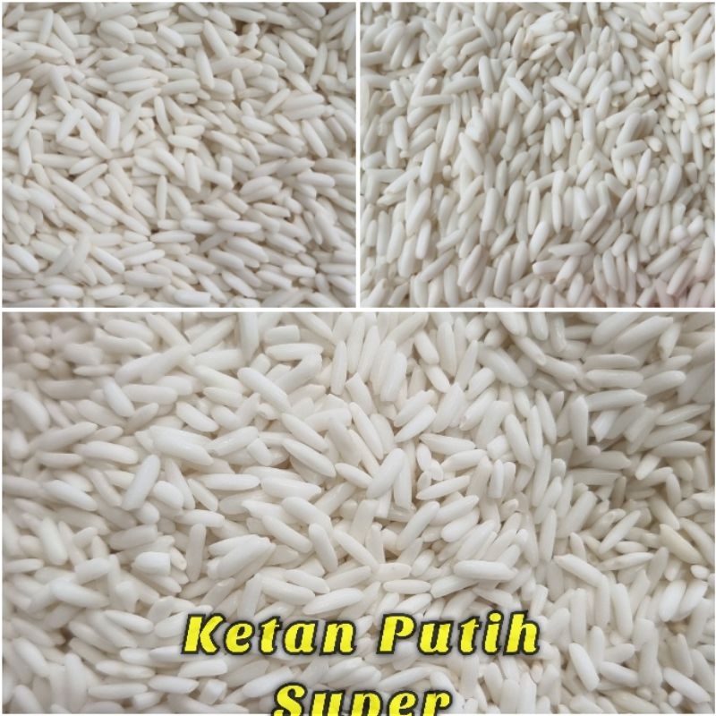 

Ketan Putih Super 5 KG Beras Ketan Paris Original - Bambu Wangi