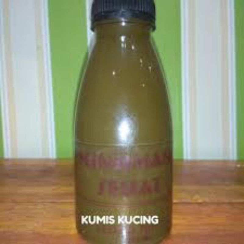 

air rebusan daun kumis kucing pres untuk kencing manis