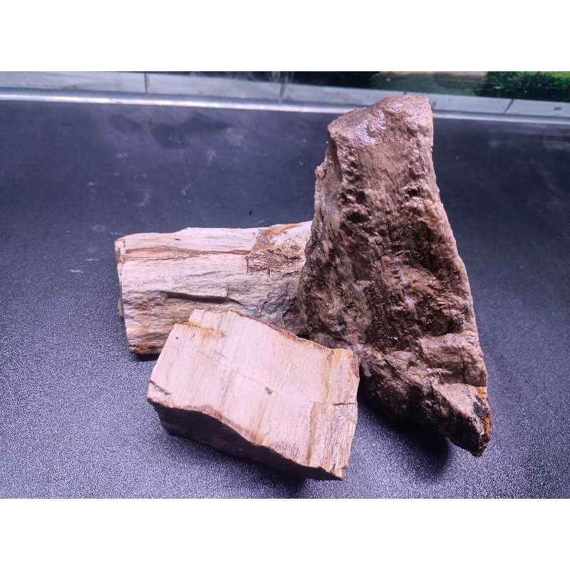 Batu Fossil Taman Aquascape paludarium Batu Aquascape Aquarium 1kg