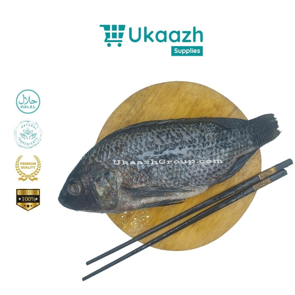 

Ukaazh Ikan Nila Hitam 1/4 Kg 250 Gram Frozen Fresh Segar