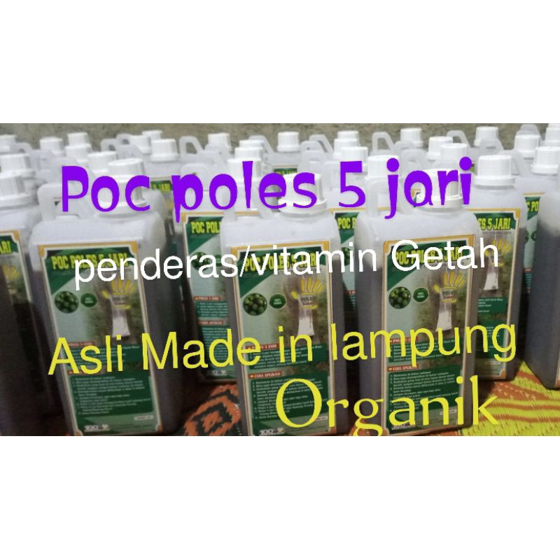 poc poles 5 jari