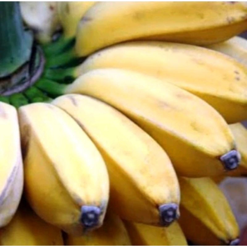 

pisang kepok 1 kg