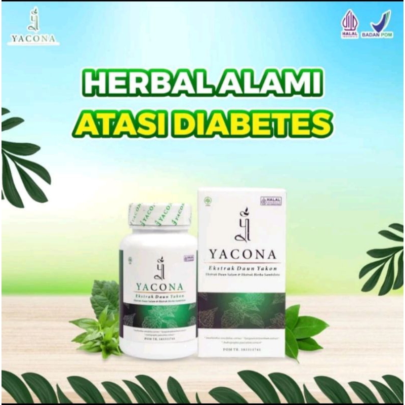 Yacona Herbal Turunkan Gula Darah Dan Diabetes