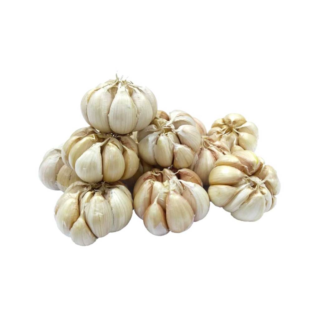 

bawang putih bersih 500 gr