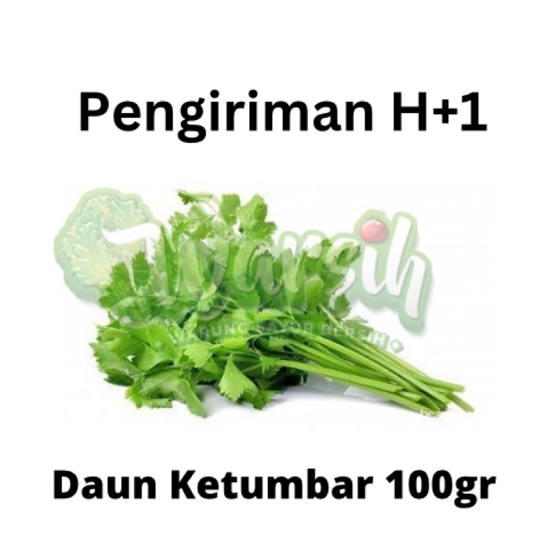 

WARSIH • DAUN KETUMBAR 50 gram