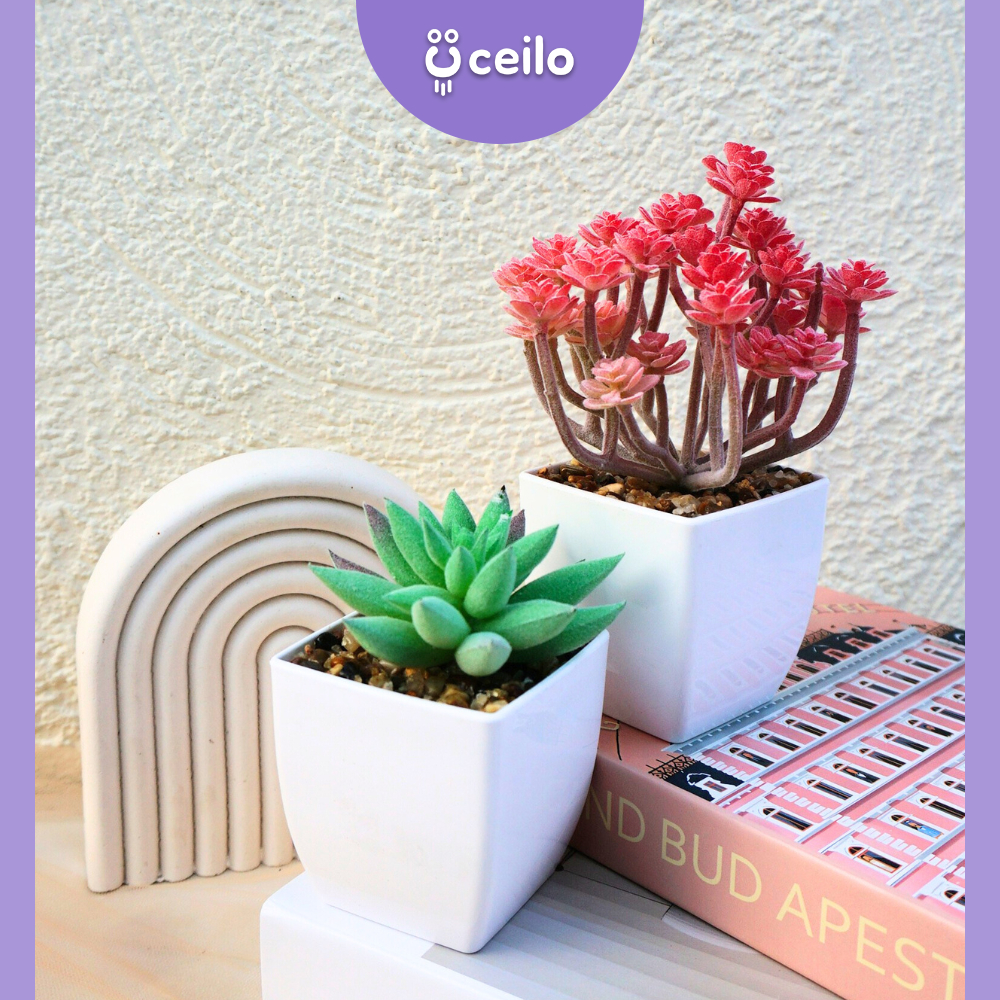 CEILO Kaktus Sukulen Imitasi | Succulent Artificial | Cactus Succulent | Tanaman Kaktus Palsu | Suku