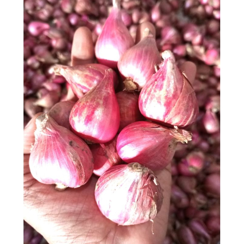 

BAWANG MERAH 250GR(1/4)BESAR &KERING
