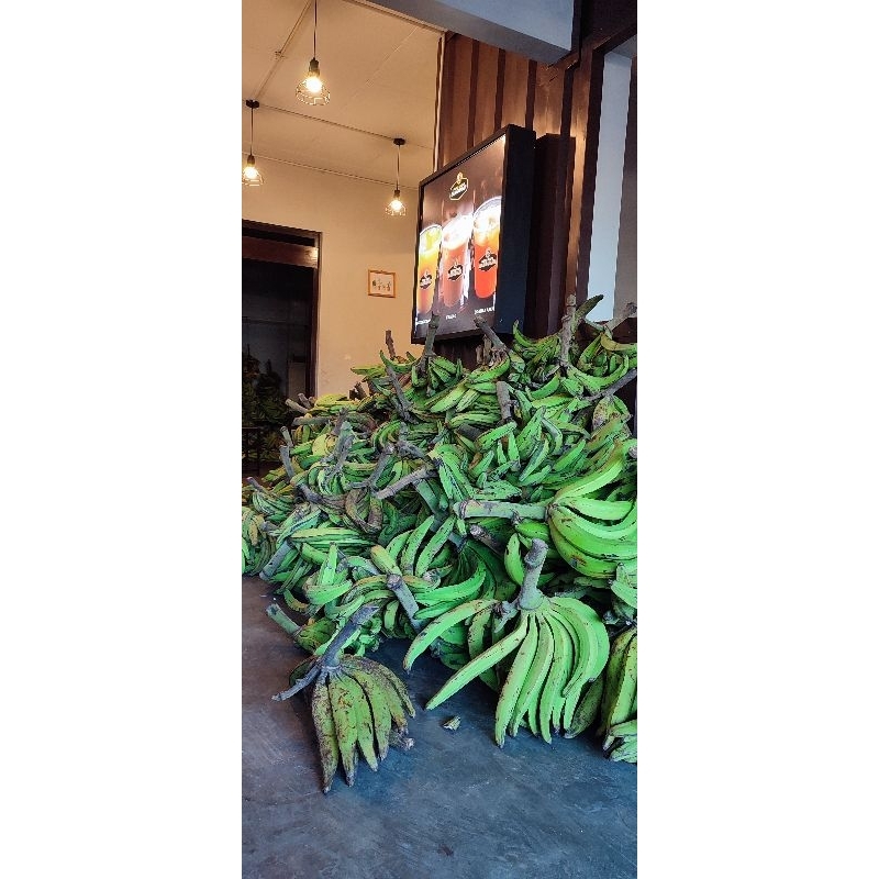 

pisang tanduk harga perkg