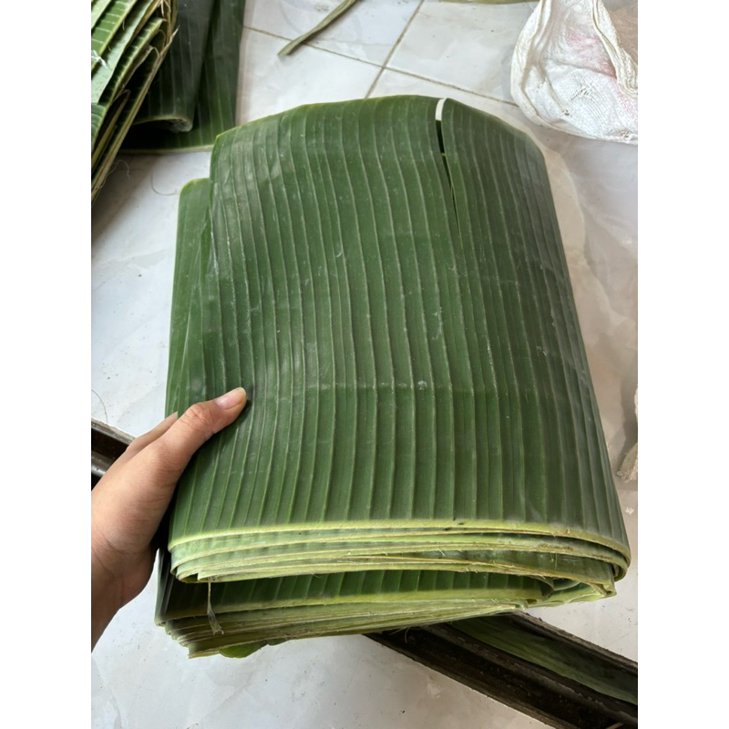 

daun pisang (segar) / perikat 1kg