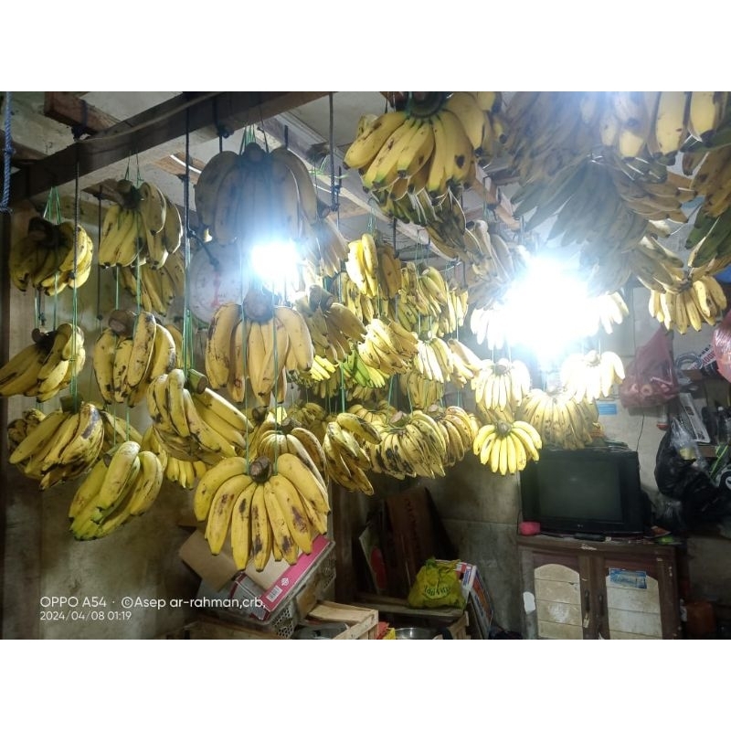 

Pisang Ambon