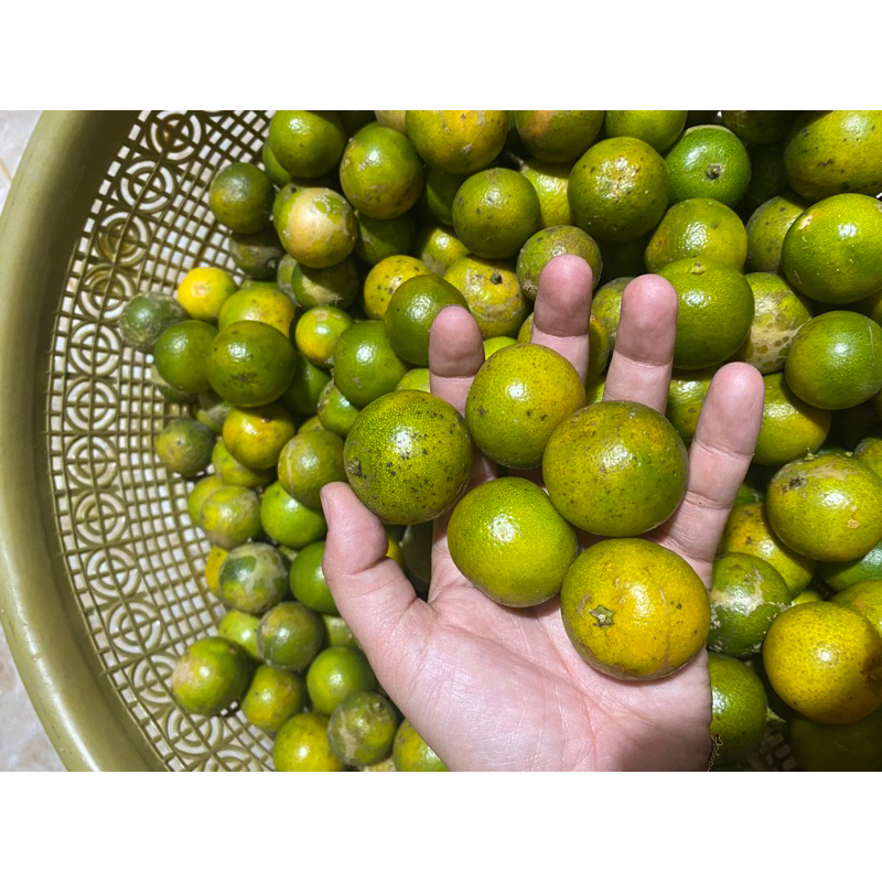 

JERUK/1KG.SONKIT.LEMON CUI/KASTURI(KUNING,SEGAR)