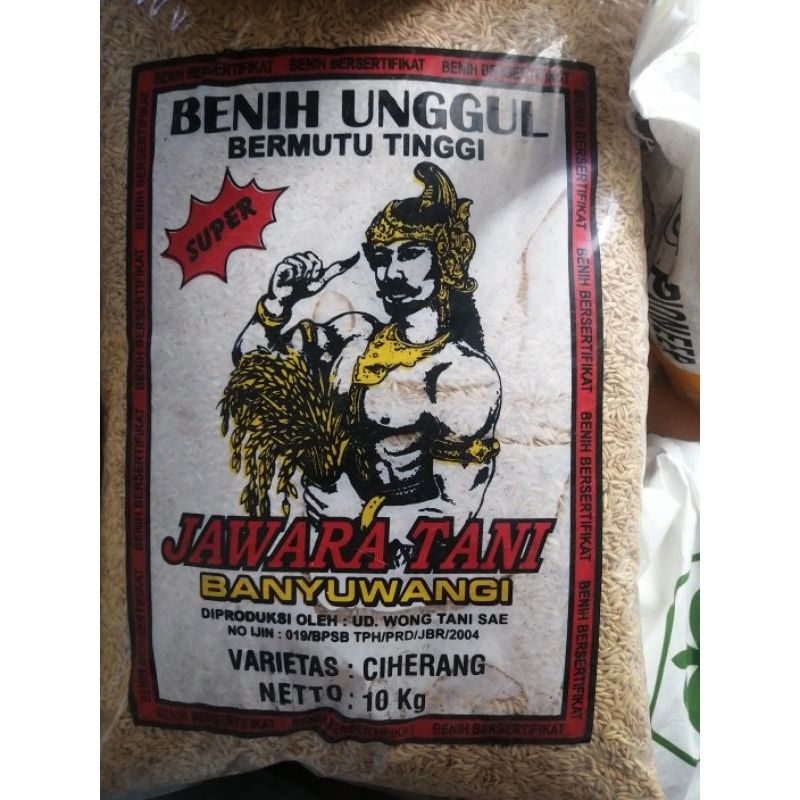 Benih padi ciherang super 10 kg