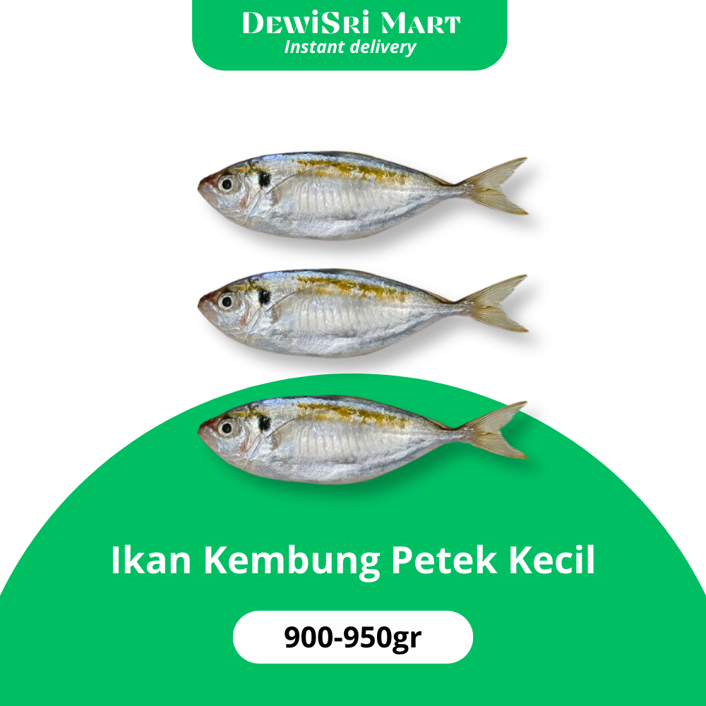 

Ikan Kembung Petek Kecil 900-950gr Fresh Frozen - Dewi Sri Mart