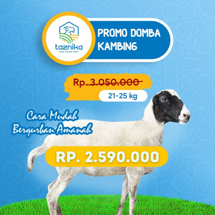 

QURBAN DOMBA/KAMBING JANTAN 21-25KG