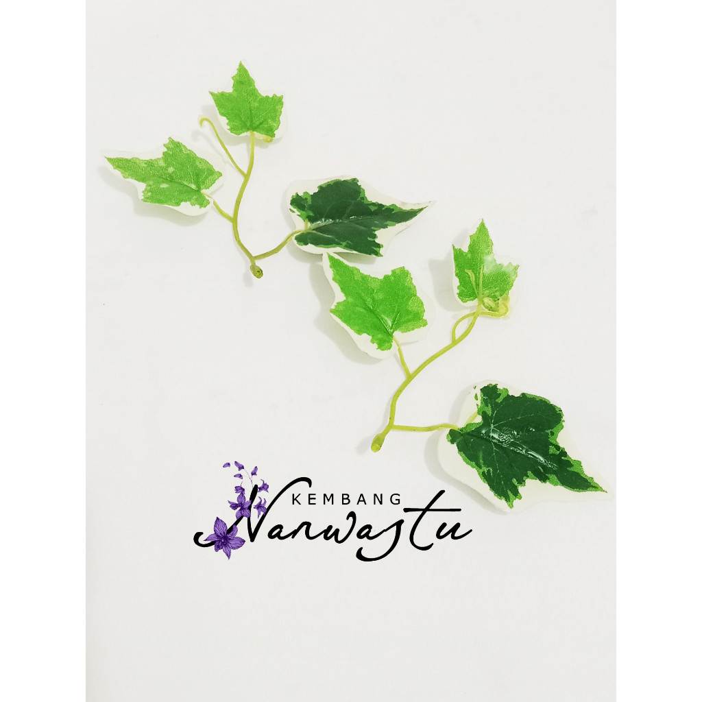 Daun Ivy Kilap / Bunga Artificial / Bunga Palsu  (Harga per 10 PCS)