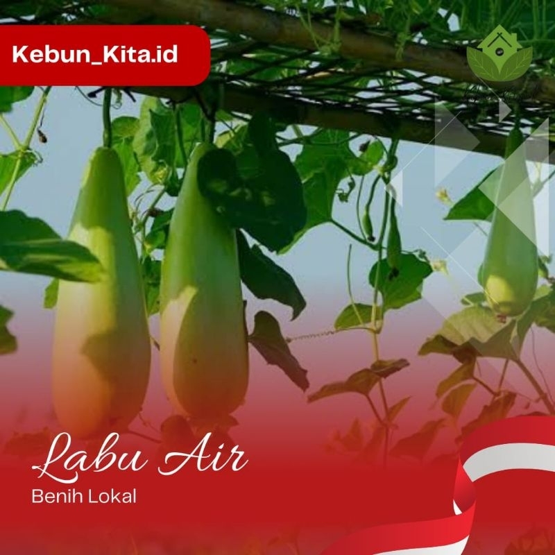 

5 biji - Benih Labu Air / Labu Panjang / Blonceng