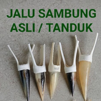 Jalu Sambung Ayam Jantan Aduan