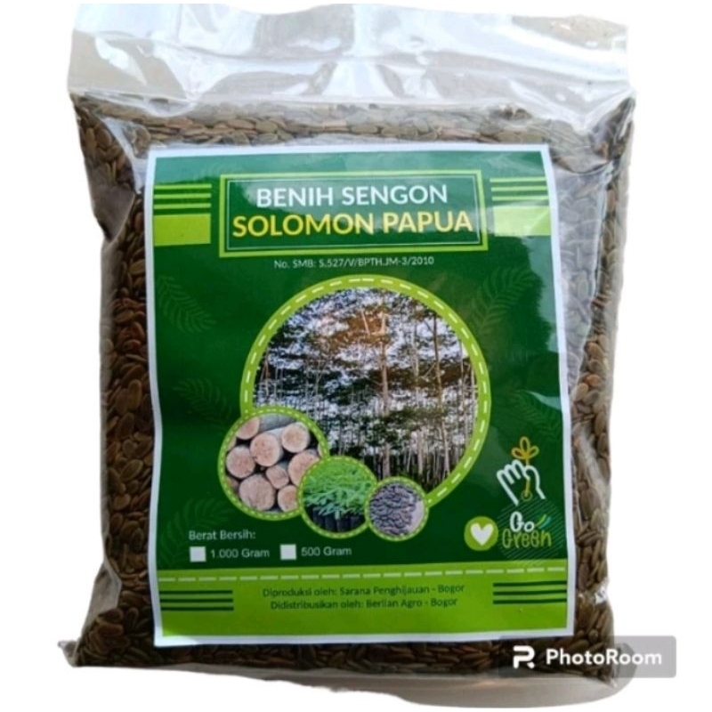 Benih Sengon SOLOMON Isi 500 Gram - Bibit Sengon Solomon - Benih Sengon Solomon - Benih Bibit Sengon