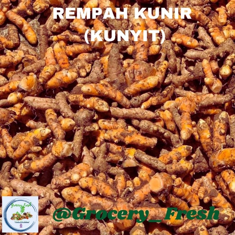 

Rempah Kunir (Kunyit) Bumbu Dapur Kesehatan Fresh Segar Ready Stok