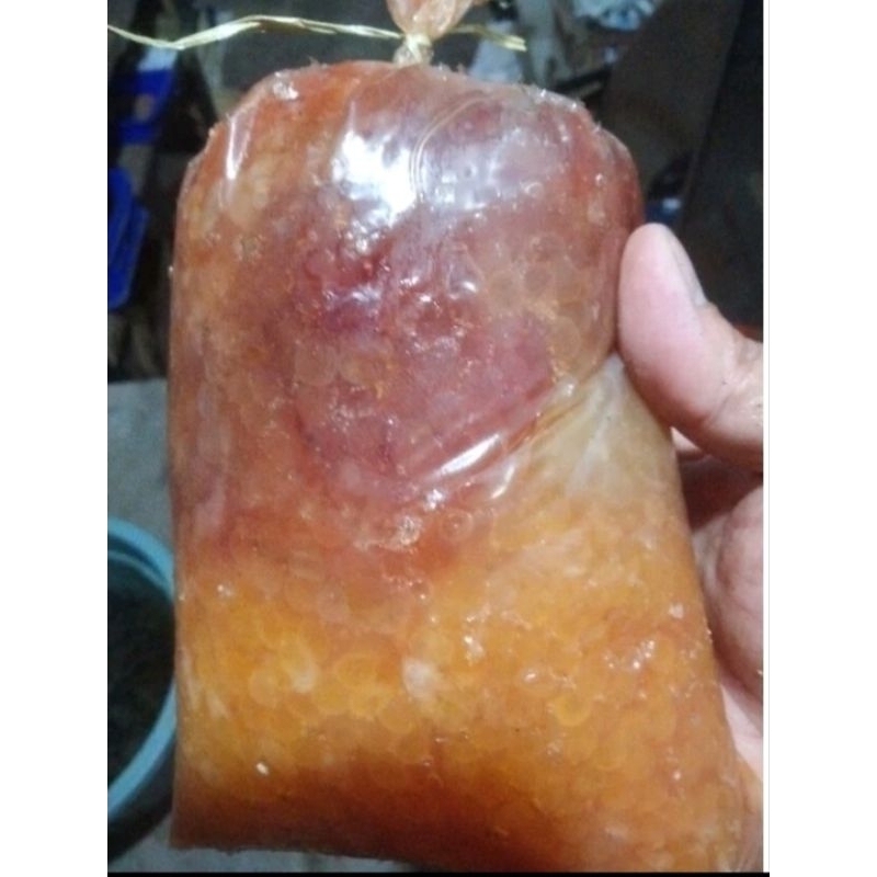 Telur Ikan Sembilang 1kg