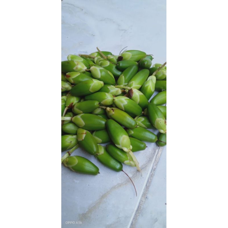 

buah jeruju 100 gr redy