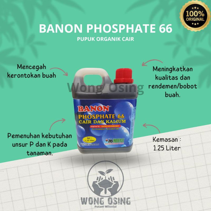 PHOSPATE 66/Phospate dan kalium cair