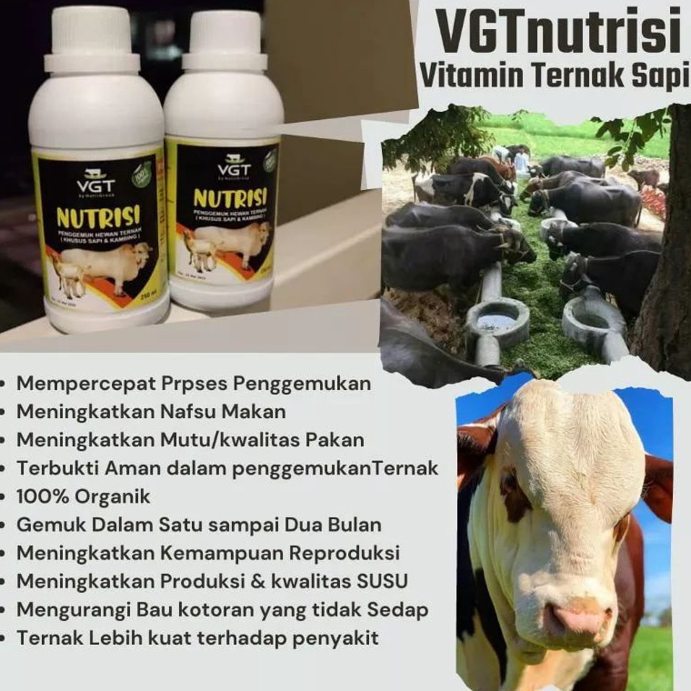 MENARIK VGT Sapi 25 ml Original  VGT Sapi Penambah ADG Instan  VGT Ternak Sapi Kambing Domba