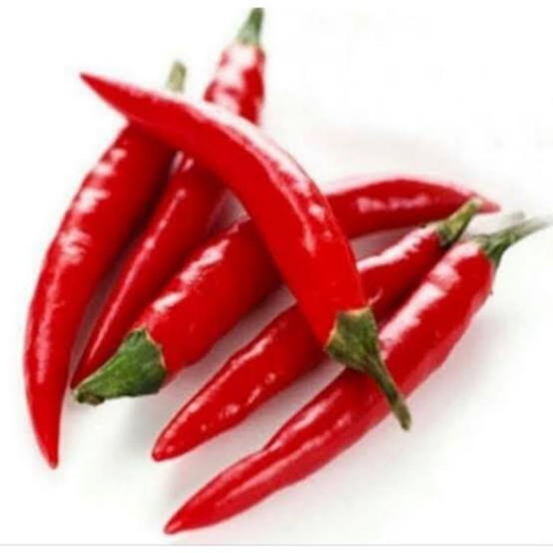 

CABE MERAH BESAR SEGAR TANJUNG 100gr 250gr