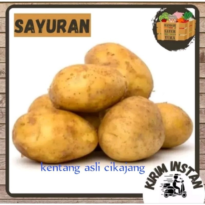 

kentang asli kentang lokal cikajang