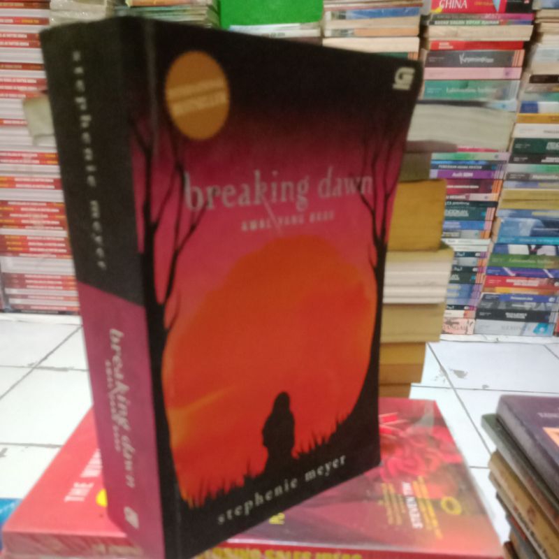 NOVEL BREAKING DAWN