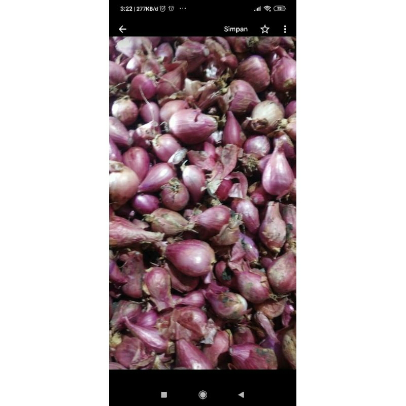 

bawang merah lokal