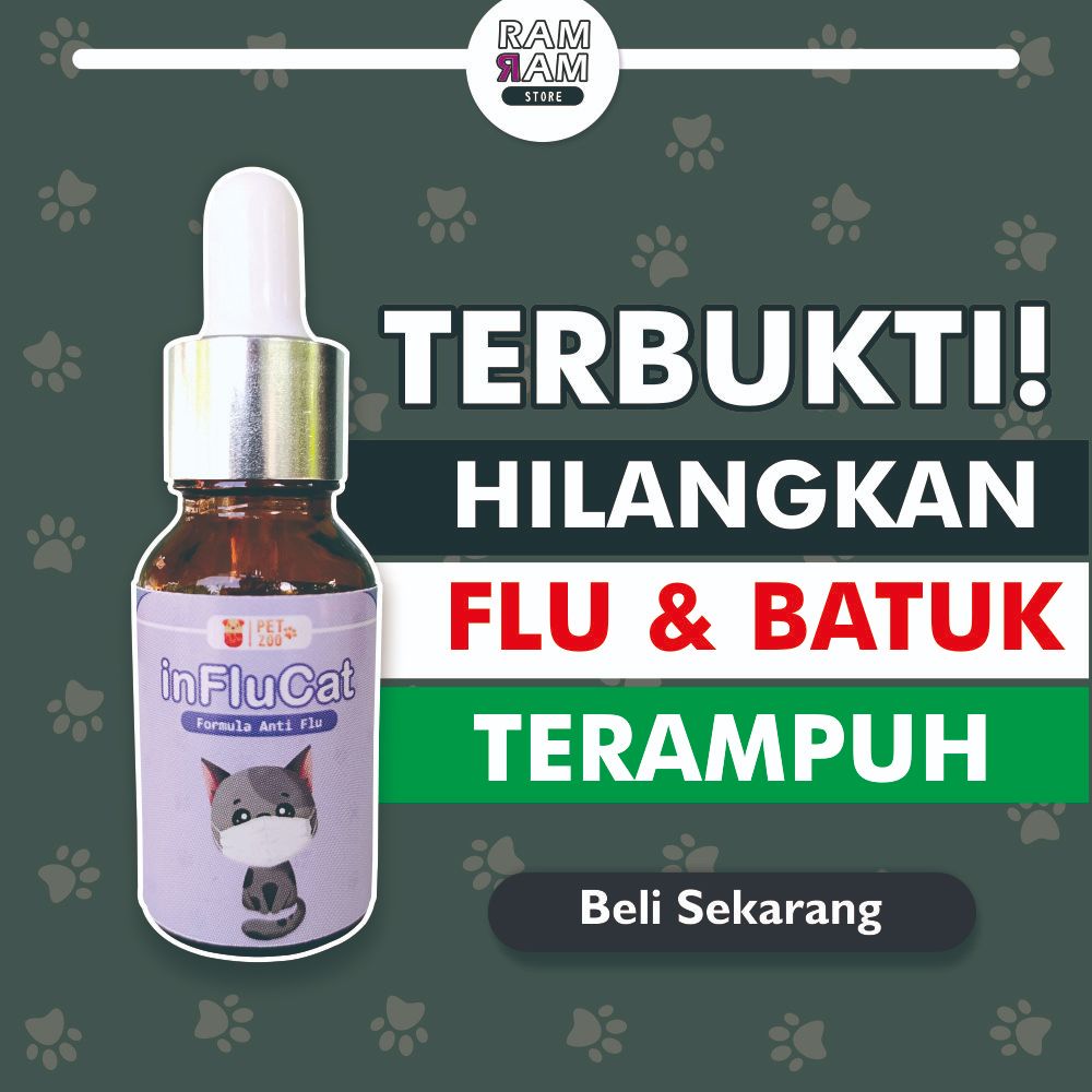 Obat Flu Berat Kucing Paling Ampuh Terbaik Apotik Kapsul D2 Dewarangga Hamil Obat Pilek Kucing Bersi
